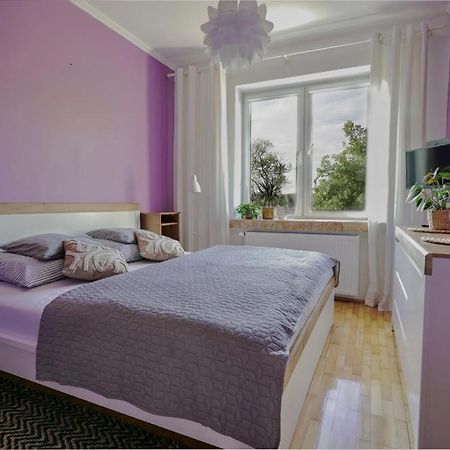 Apartament Dana コウォブジェク エクステリア 写真
