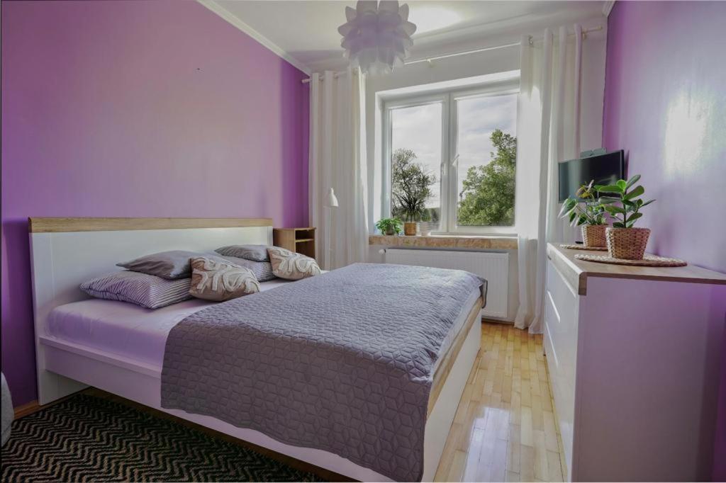 Apartament Dana コウォブジェク エクステリア 写真